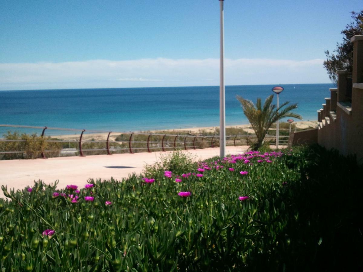 Bungalow Arenales Del Sol, Alicante Exteriér fotografie